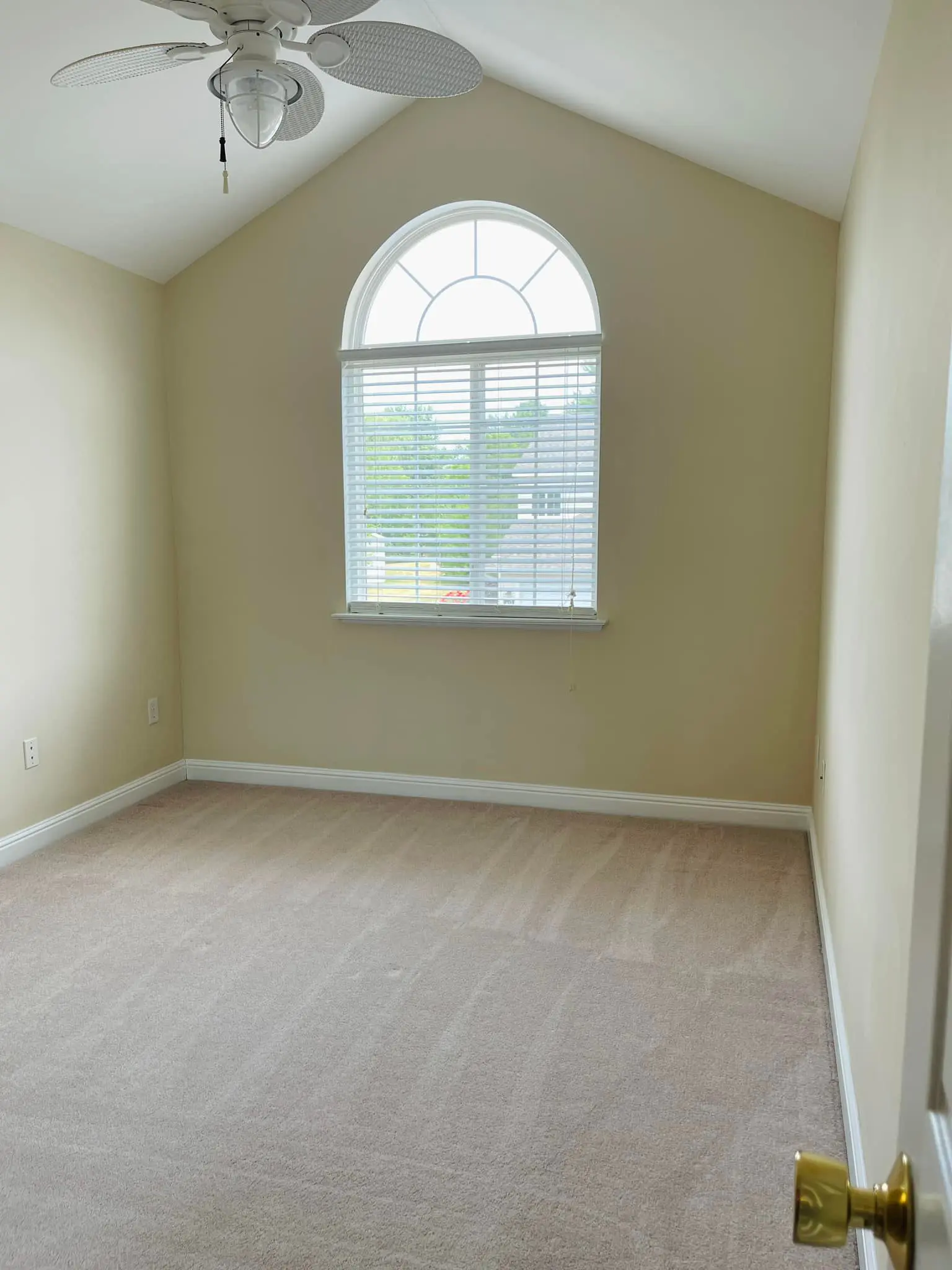 Empty beige room with carpet flooring and arched window.