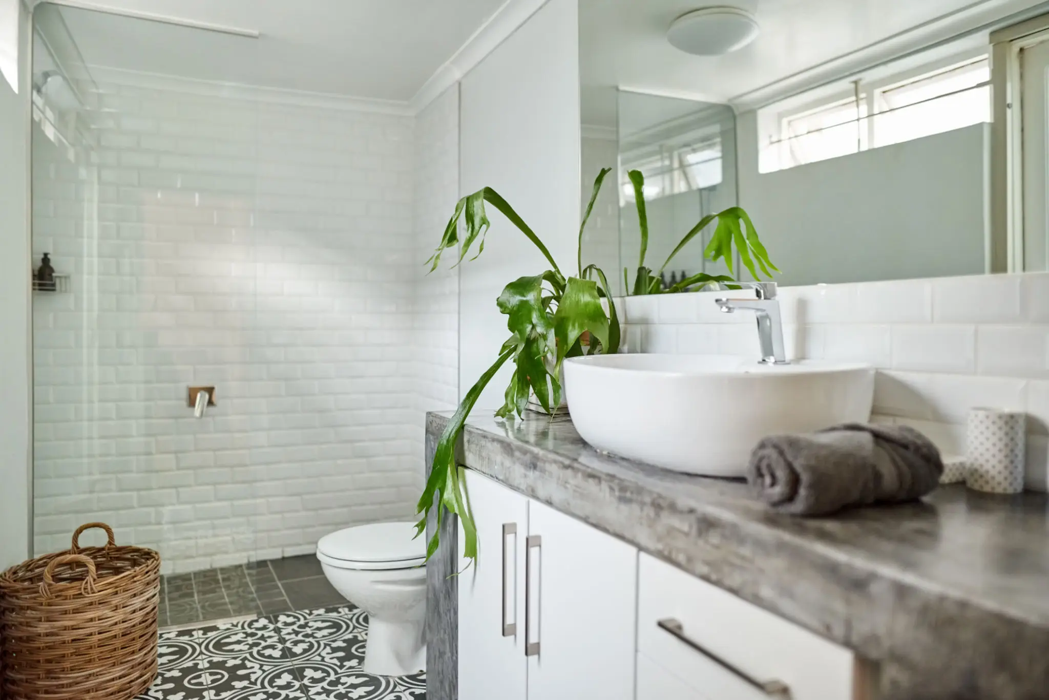 Bright bathroom with drooping plant and modern fixtures.